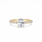 https://cdn.shopify.com/s/files/1/0706/7707/0101/files/LBSR72Y-100-001.jpg?v=1745145629