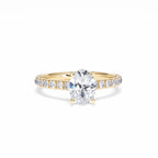https://cdn.shopify.com/s/files/1/0706/7707/0101/files/LBSR72Y-100-002.jpg?v=1745145629