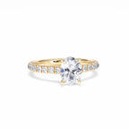 https://cdn.shopify.com/s/files/1/0706/7707/0101/files/LBSR72Y-100-003.jpg?v=1745145629