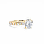 https://cdn.shopify.com/s/files/1/0706/7707/0101/files/LBSR72Y-100-007.jpg?v=1745145629