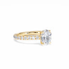 https://cdn.shopify.com/s/files/1/0706/7707/0101/files/LBSR72Y-100-008.jpg?v=1745145629