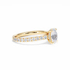 https://cdn.shopify.com/s/files/1/0706/7707/0101/files/LBSR72Y-100-014.jpg?v=1745145629