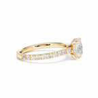 https://cdn.shopify.com/s/files/1/0706/7707/0101/files/LBSR72Y-100-018.jpg?v=1745145629