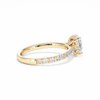 https://cdn.shopify.com/s/files/1/0706/7707/0101/files/LBSR72Y-100-026.jpg?v=1745145629