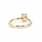 https://cdn.shopify.com/s/files/1/0706/7707/0101/files/LBSR72Y-100-037.jpg?v=1745145629