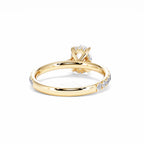 https://cdn.shopify.com/s/files/1/0706/7707/0101/files/LBSR72Y-100-038.jpg?v=1745145629
