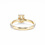 https://cdn.shopify.com/s/files/1/0706/7707/0101/files/LBSR72Y-100-042.jpg?v=1745145629