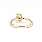 https://cdn.shopify.com/s/files/1/0706/7707/0101/files/LBSR72Y-100-043.jpg?v=1745145629