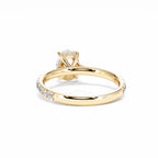 https://cdn.shopify.com/s/files/1/0706/7707/0101/files/LBSR72Y-100-044.jpg?v=1745145629