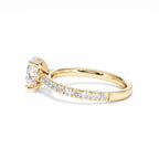 https://cdn.shopify.com/s/files/1/0706/7707/0101/files/LBSR72Y-100-058.jpg?v=1745145651
