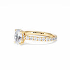 https://cdn.shopify.com/s/files/1/0706/7707/0101/files/LBSR72Y-100-070.jpg?v=1745145651