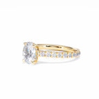 https://cdn.shopify.com/s/files/1/0706/7707/0101/files/LBSR72Y-100-072.jpg?v=1745145651