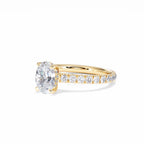 https://cdn.shopify.com/s/files/1/0706/7707/0101/files/LBSR72Y-100-073.jpg?v=1745145651