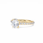 https://cdn.shopify.com/s/files/1/0706/7707/0101/files/LBSR72Y-100-075.jpg?v=1745145651