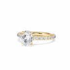 https://cdn.shopify.com/s/files/1/0706/7707/0101/files/LBSR72Y-100-076.jpg?v=1745145651