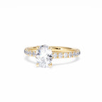 https://cdn.shopify.com/s/files/1/0706/7707/0101/files/LBSR72Y-100-078.jpg?v=1745145651