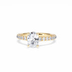 https://cdn.shopify.com/s/files/1/0706/7707/0101/files/LBSR72Y-100-079.jpg?v=1745145651