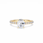 https://cdn.shopify.com/s/files/1/0706/7707/0101/files/LBSR72Y-100-080.jpg?v=1745145651