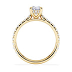 https://cdn.shopify.com/s/files/1/0706/7707/0101/files/LBSR72Y-100-d1.jpg?v=1741293529