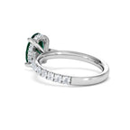 https://cdn.shopify.com/s/files/1/0706/7707/0101/files/LGSR75-50EW-051.jpg?v=1756496392