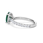 https://cdn.shopify.com/s/files/1/0706/7707/0101/files/LGSR75-50EW-057.jpg?v=1756496392