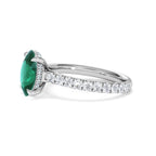 https://cdn.shopify.com/s/files/1/0706/7707/0101/files/LGSR75-50EW-066.jpg?v=1756496392