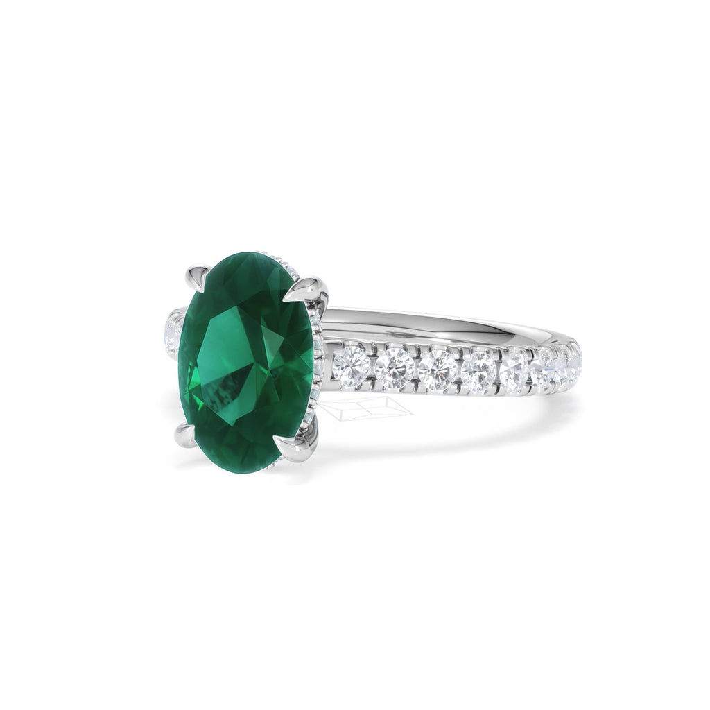 https://cdn.shopify.com/s/files/1/0706/7707/0101/files/LGSR75-50EW-075.jpg?v=1756496392