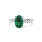 https://cdn.shopify.com/s/files/1/0706/7707/0101/files/LGSR75-50EW-079.jpg?v=1756496392