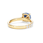 https://cdn.shopify.com/s/files/1/0706/7707/0101/files/LGSR76-50SY-036.jpg?v=1756455573