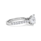 https://cdn.shopify.com/s/files/1/0706/7707/0101/files/SR34-300W-017_b15461ba-d99f-407d-b3d7-bd6b390c16cb.jpg?v=1772642868