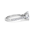 https://cdn.shopify.com/s/files/1/0706/7707/0101/files/SR34-300W-020_82790a09-a6be-46e6-8094-4e0a642eceaf.jpg?v=1772642868