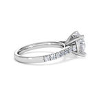 https://cdn.shopify.com/s/files/1/0706/7707/0101/files/SR34-300W-024_416e2aca-74b3-4b7c-825c-f21b7bf76fae.jpg?v=1772642868