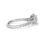 https://cdn.shopify.com/s/files/1/0706/7707/0101/files/SR34-300W-025_6073b209-5580-4b17-92b5-91a631c0069b.jpg?v=1772642868