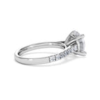 https://cdn.shopify.com/s/files/1/0706/7707/0101/files/SR34-300W-026_5ce9b83d-b86e-442c-9aee-994aeed6e2a7.jpg?v=1772642868