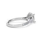 https://cdn.shopify.com/s/files/1/0706/7707/0101/files/SR34-300W-028_57100593-9641-42a3-8644-6108790eb43f.jpg?v=1772642868