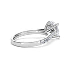 https://cdn.shopify.com/s/files/1/0706/7707/0101/files/SR34-300W-029_eccf6dd4-58ac-4a12-9222-9574f2b53480.jpg?v=1772642868
