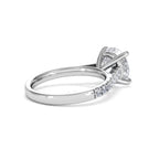 https://cdn.shopify.com/s/files/1/0706/7707/0101/files/SR34-300W-030_9bf54034-85b5-4a6b-8ec9-b12391f4e2fe.jpg?v=1772642868