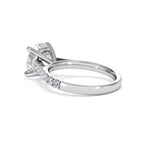 https://cdn.shopify.com/s/files/1/0706/7707/0101/files/SR34-300W-052_9d3105d5-2f87-4299-944d-4d2cca4f088c.jpg?v=1772642868