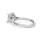 https://cdn.shopify.com/s/files/1/0706/7707/0101/files/SR34-300W-053_91801834-09f8-4b2b-9fa5-d79d5d920299.jpg?v=1772642868