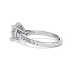https://cdn.shopify.com/s/files/1/0706/7707/0101/files/SR34-300W-056_0064f602-1fb4-4a3c-b84d-6a5207111df0.jpg?v=1772642868