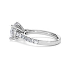https://cdn.shopify.com/s/files/1/0706/7707/0101/files/SR34-300W-057_56bf58fc-f5b3-40ae-8133-1e60e0cbeb71.jpg?v=1772642868