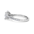 https://cdn.shopify.com/s/files/1/0706/7707/0101/files/SR34-300W-058_348e6b47-85f6-46fd-a0de-35716e1e7e4c.jpg?v=1772642868