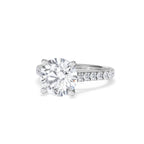 https://cdn.shopify.com/s/files/1/0706/7707/0101/files/SR34-300W-077_d08034e9-72b8-413a-97f5-2c1f5a392935.jpg?v=1772642868