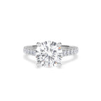 https://cdn.shopify.com/s/files/1/0706/7707/0101/files/SR34-300W-080_9c82b528-de6e-4ca7-984e-99192dcdcd2e.jpg?v=1772642868
