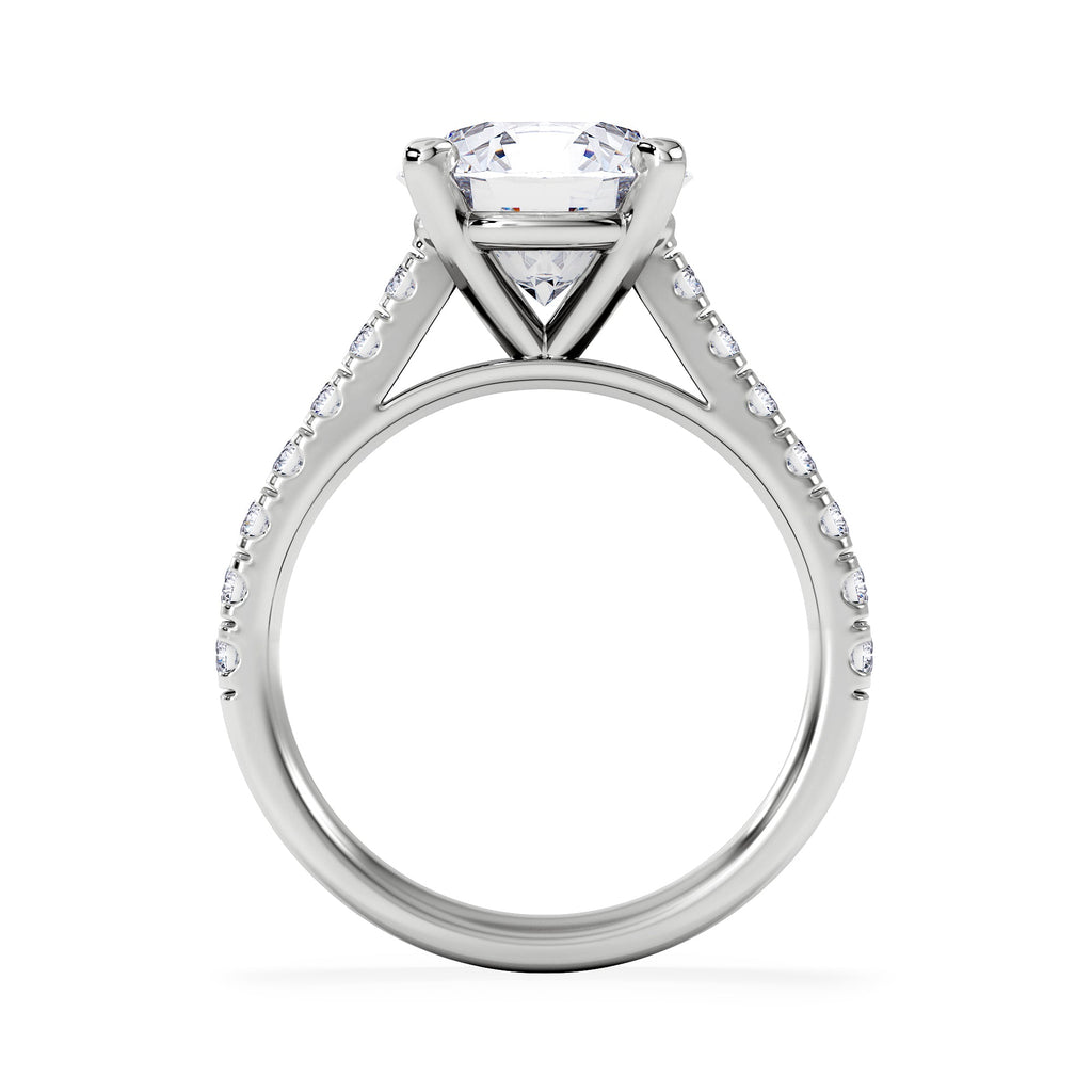 https://cdn.shopify.com/s/files/1/0706/7707/0101/files/SR34-300W-d1.jpg?v=1772642868