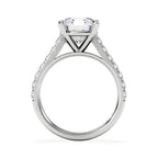 https://cdn.shopify.com/s/files/1/0706/7707/0101/files/SR34-300W-d1.jpg?v=1772642868