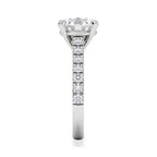 https://cdn.shopify.com/s/files/1/0706/7707/0101/files/SR34-300W-d2_179c35ae-c628-48e5-961d-851c832ab917.jpg?v=1772642868