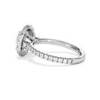 https://cdn.shopify.com/s/files/1/0706/7707/0101/files/SR52-200W-056_ac0985e6-2c96-47f8-bb6e-91534fa8737f.jpg?v=1746655584
