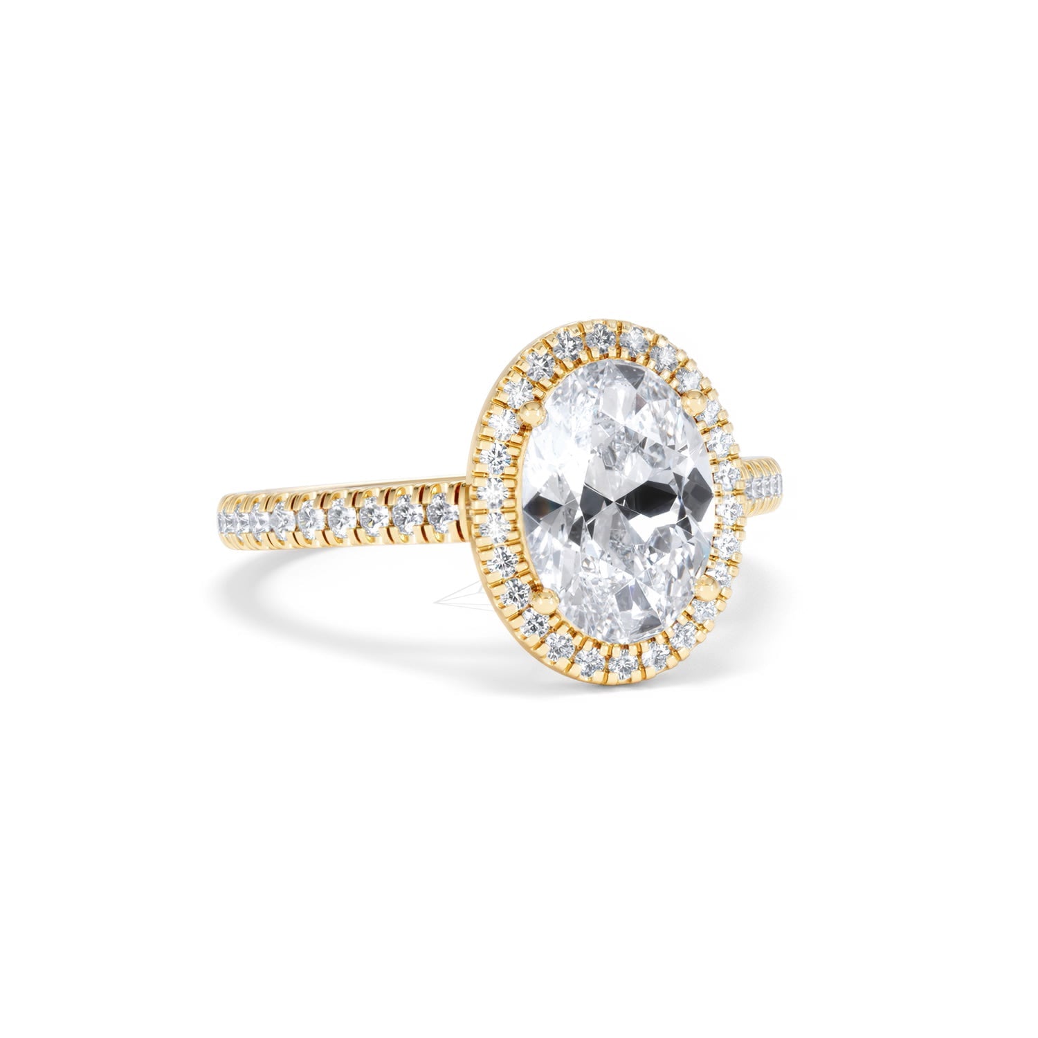 https://cdn.shopify.com/s/files/1/0706/7707/0101/files/SR60-200Y-005.jpg?v=1772642967