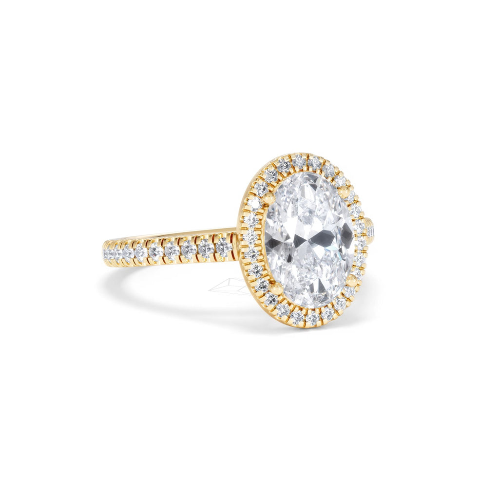 https://cdn.shopify.com/s/files/1/0706/7707/0101/files/SR60-200Y-006.jpg?v=1772642967